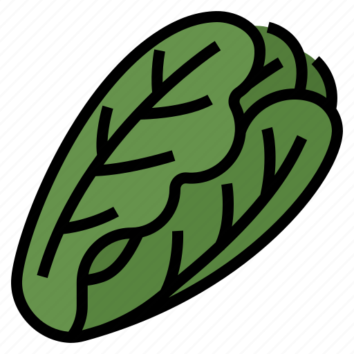 Cos, green, green cos, healthy, lettuce, vegetable icon - Download on Iconfinder