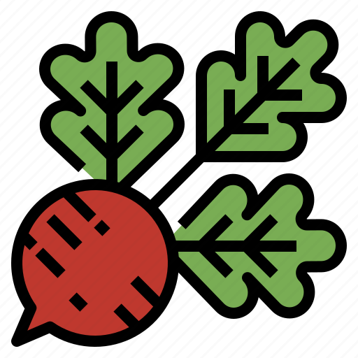 Food, radishes, root, vegetable icon - Download on Iconfinder