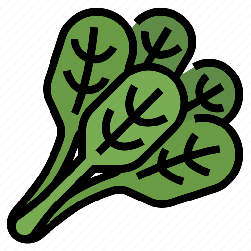 Healthy, spinach, vegetable, vitamins icon - Download on Iconfinder