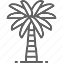 arabia, coconut, leaf, palm, saudi, summer, tree