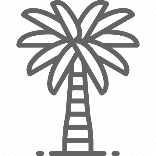Arabia, coconut, leaf, palm, saudi, summer, tree icon - Download on Iconfinder