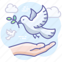 peace, dove, hand, olive branch