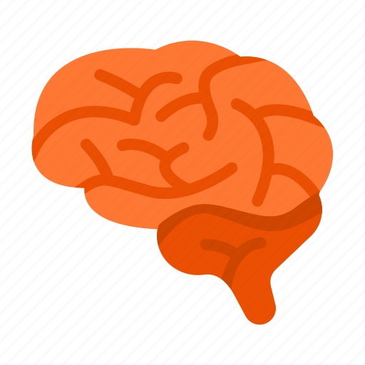 Brain, mind, thinking, creative, idea icon - Download on Iconfinder