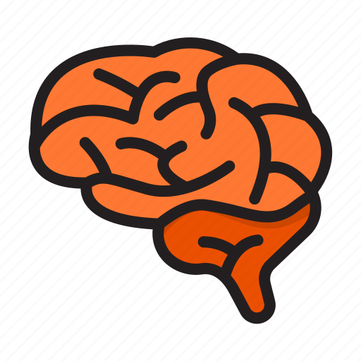 Brain, mind, thinking, creative icon - Download on Iconfinder