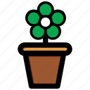 ecology, flower, gardening, plant, potted plant 