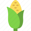 corn, vegetable, food, maize, cob, vegan