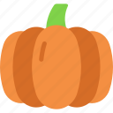 pumpkin, fruit, fall, harvest, food, autumn