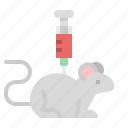 animal, education, lab, mouse, science