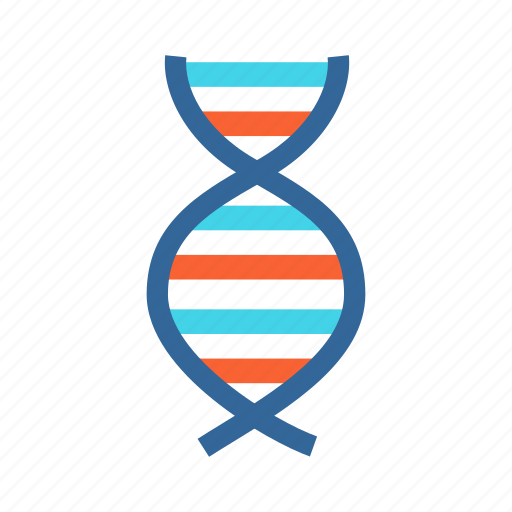 Biology, dna, dna structure, gene, genetic structure icon - Download on Iconfinder