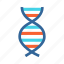 biology, dna, dna structure, gene, genetic structure 