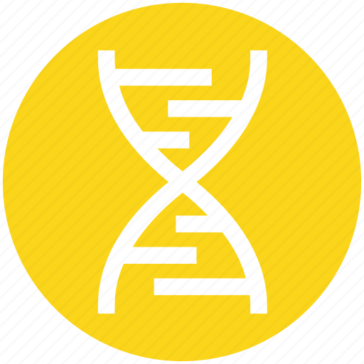 Chain, dna, genetics, helix, molecule, science, strand icon - Download on Iconfinder