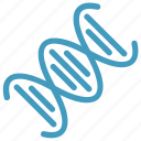 chain, dna, genetics, helix, molecule, science, strand