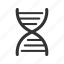 chromosome, dna, gene 
