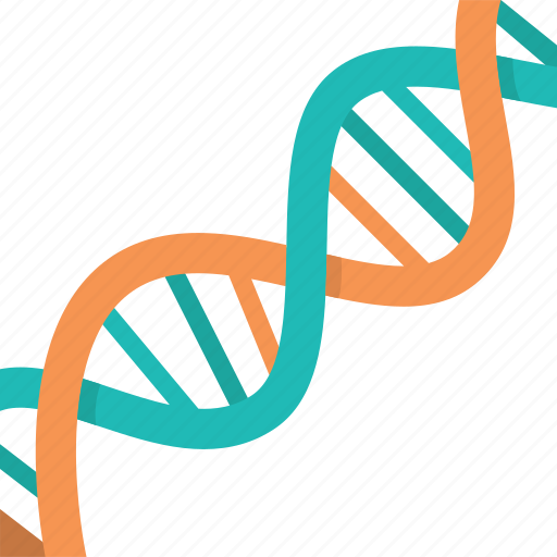 Dna, biology, genetic, chromosome, biochemistry icon - Download on Iconfinder