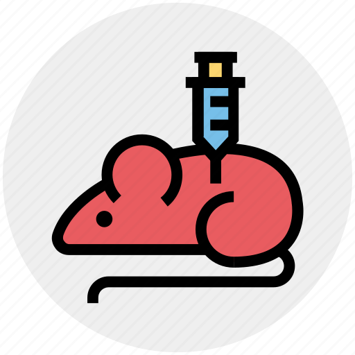 Experiment, injection, laboratory, mouse, science, syringe icon - Download on Iconfinder