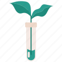 science, chemistry, ecology, biology, test, tube, sprout, plant, flask