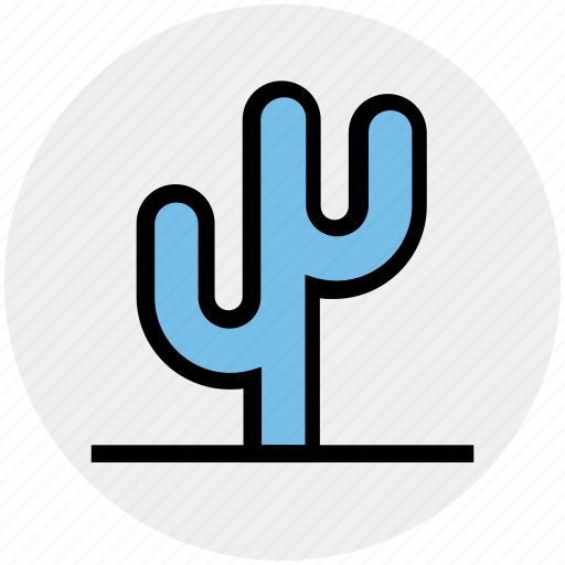 Cactus, eco, ecology, nature, plant, pot, science icon - Download on Iconfinder