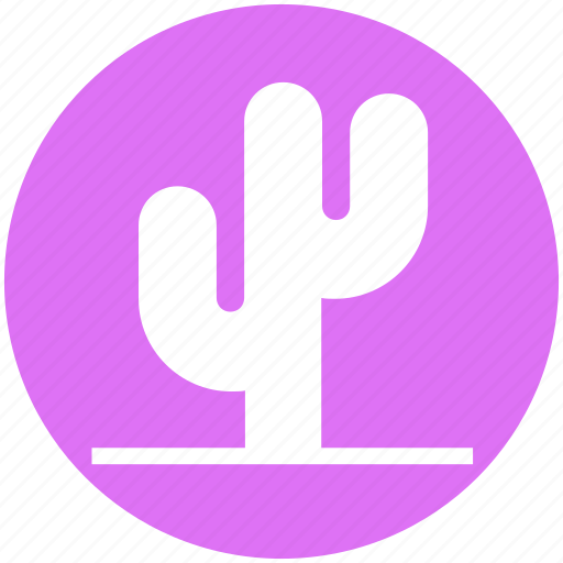Cactus, eco, ecology, nature, plant, pot, science icon - Download on Iconfinder