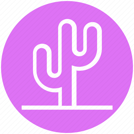 Cactus, eco, ecology, nature, plant, science icon - Download on Iconfinder