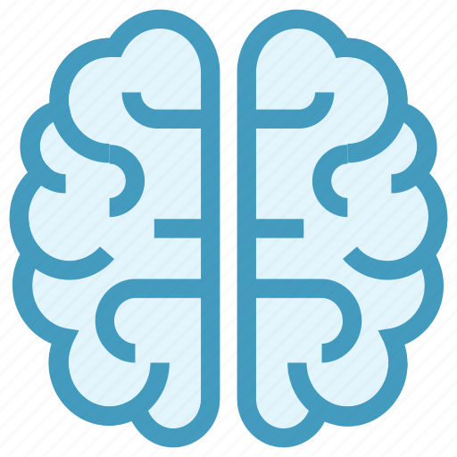 Brain, brainstorming, human brain, intelligence, organ, science icon - Download on Iconfinder