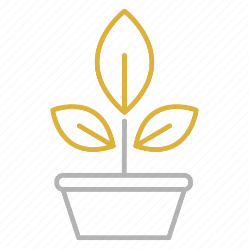 Botany, education, plant, science, study icon - Download on Iconfinder
