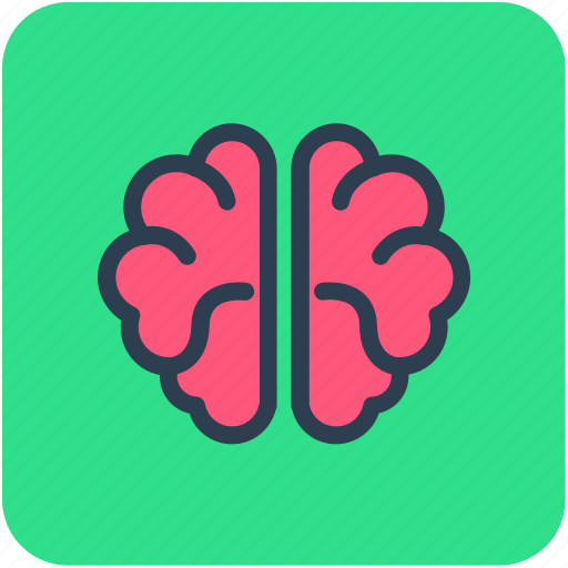 Body organ, body part, brain, human brain, human organ icon - Download on Iconfinder