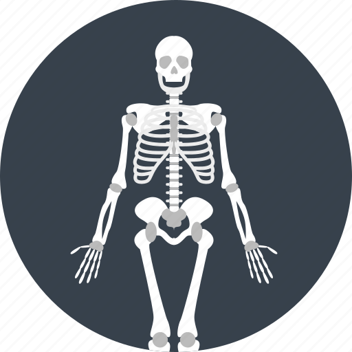 Skeleton, bones, dead icon - Download on Iconfinder