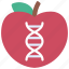 food, engineering, scientific, apple, dna 