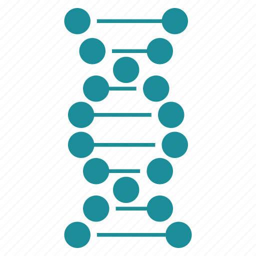 Science, biology, dna structure, genetic engineering, genetics, genome chain, spiral molecule icon - Download on Iconfinder