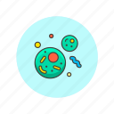 bacteria, cell, science, technology, laboratory, research 