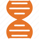 dna, dna chain, helix, medical