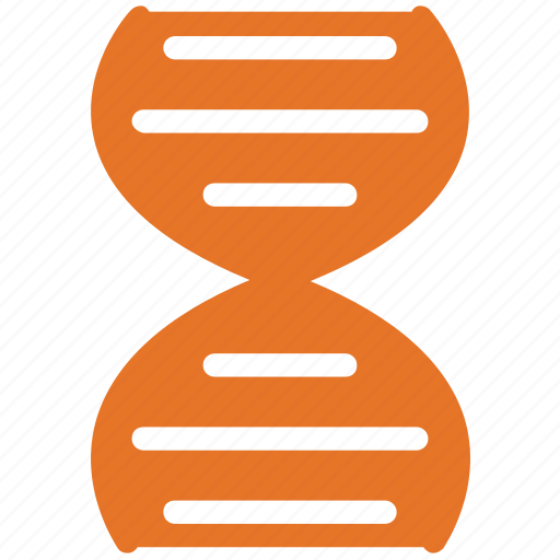Dna, dna chain, helix, medical icon - Download on Iconfinder