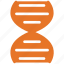 dna, dna chain, helix, medical 