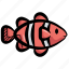 clown fish, clownfish, anemone fish, nemo, pet fish 
