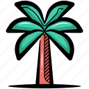 date, palm, date palm, palm tree, tree