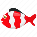 aquatic animal, scissortail, scissortail sergeant fish, sea animal, striped fish 