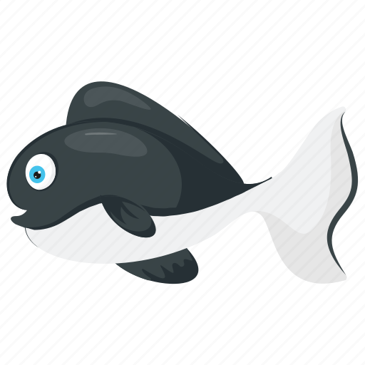 Blue whale, killer whale, sperm whale, whale, wild sea animal icon - Download on Iconfinder