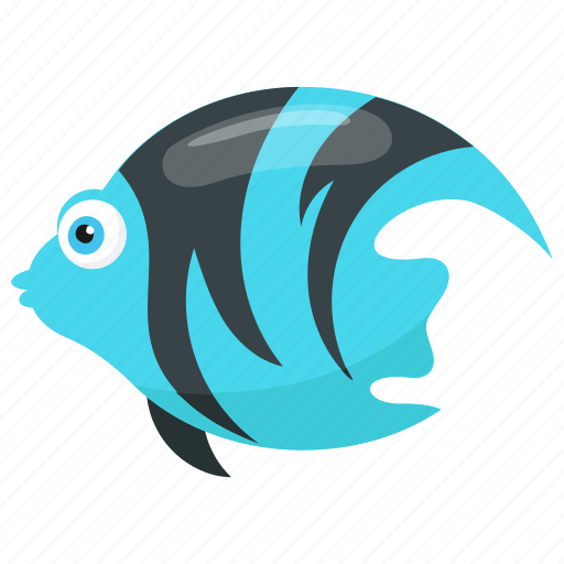 Angelfish, fish, marble angelfish, sea animal, zebra angelfish icon - Download on Iconfinder