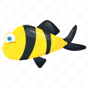 bee fish, bumblebee fish, fish, freshwater puffer, goby fish