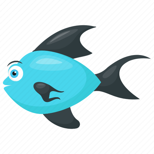 Atlantic bluefin tuna, bluefin tuna, scombridae, sea animal, tuna fish icon - Download on Iconfinder