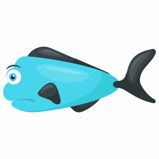 Dorado fish, fish, ray-finned fish, sub tropical fish, tropical fish icon - Download on Iconfinder
