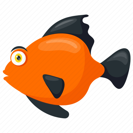 Freshwater fish, platy fish, poeciliidae, sea animal, tropical fish icon - Download on Iconfinder