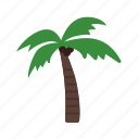 beach, coconut, island, maldives, palm, sea, tree