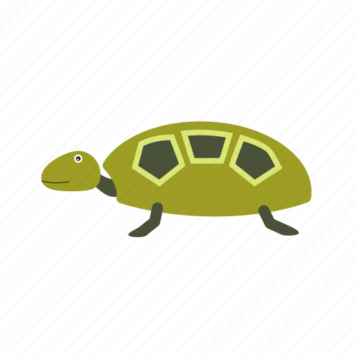 Green, nature, sea, shell, tortoise, turtle, wildlife icon - Download on Iconfinder