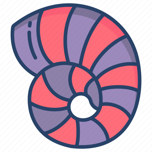 Sea, shell icon - Download on Iconfinder on Iconfinder