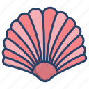 sea, shell, 2
