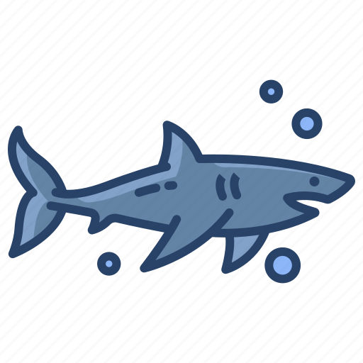 Shark icon - Download on Iconfinder on Iconfinder