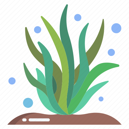 Seaweed icon - Download on Iconfinder on Iconfinder
