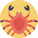 crawfish, crawl crab, crayfish, lobster, seafood