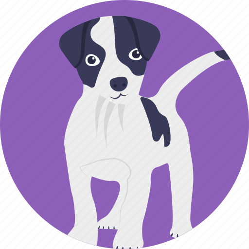 Animal, dog, dog face, domestic dog, foxhound icon - Download on Iconfinder
